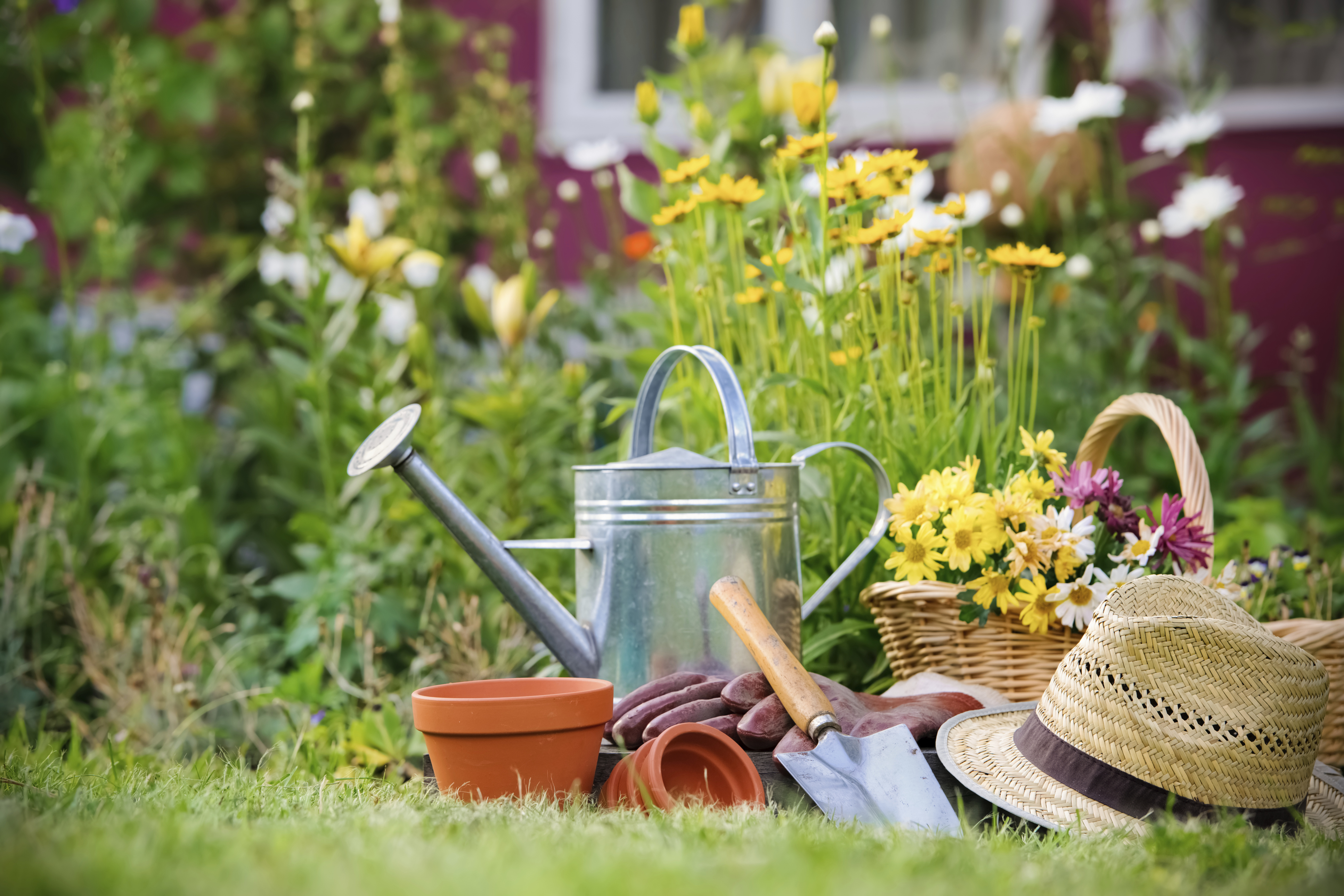7 Tips to Achieve a Neat Garden